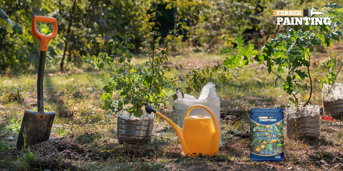 Qual tipo de fertilizante para árvores frutíferas